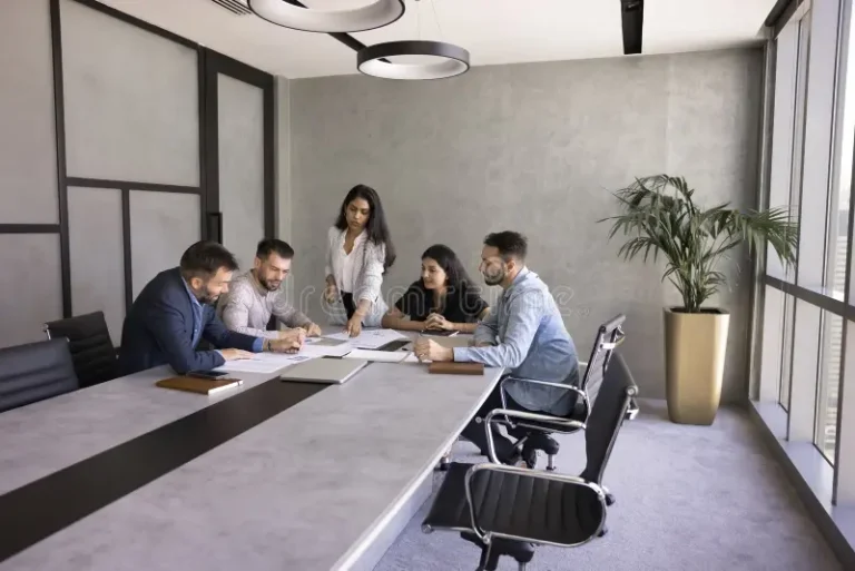 young indian business leader women presenting project reports to diverse team investors showing marketing documents large 376422636